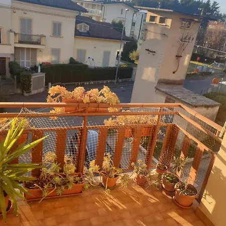 Il Girasole